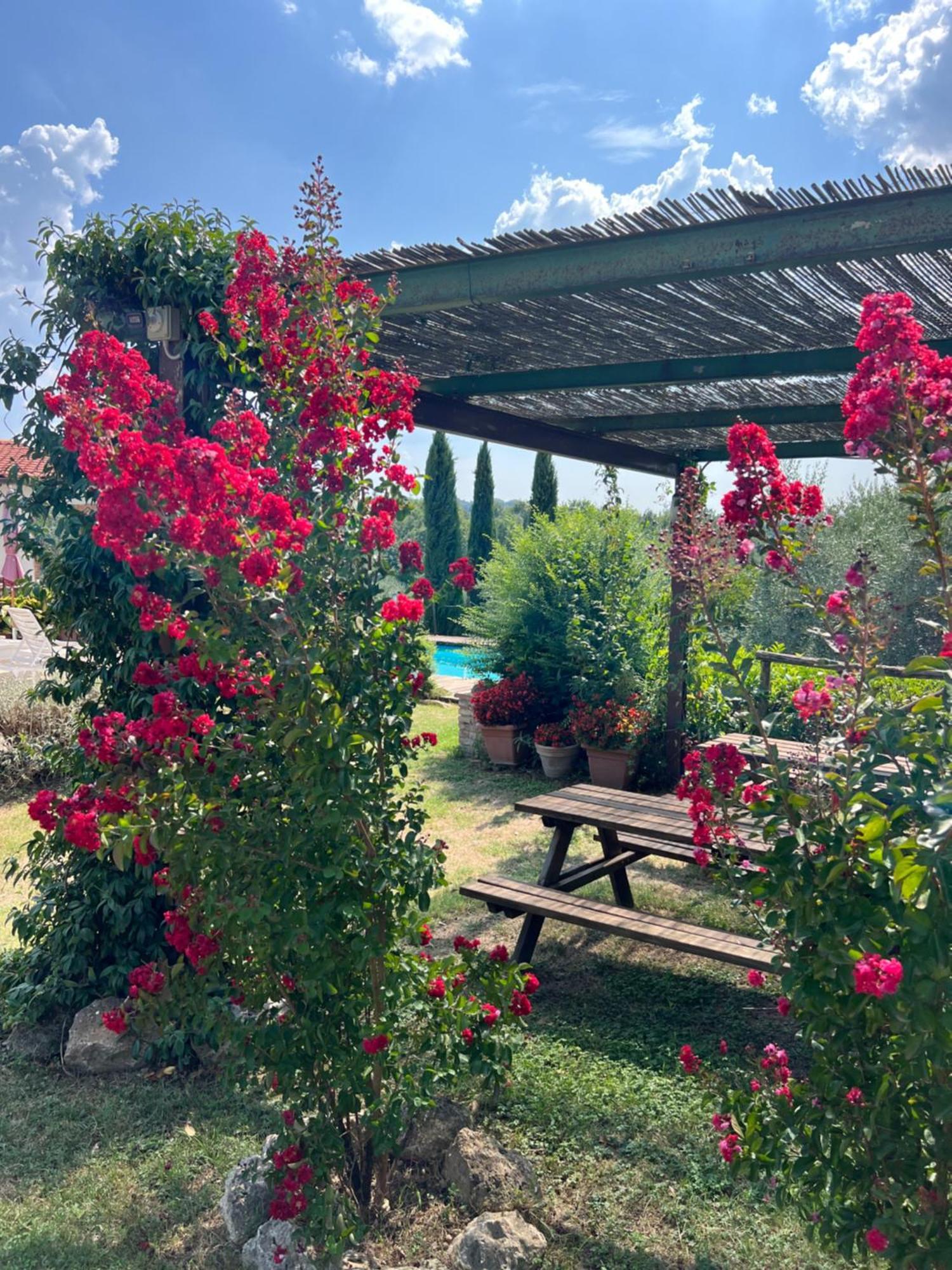 B&B Il Pettirosso Di סיינה מראה חיצוני תמונה