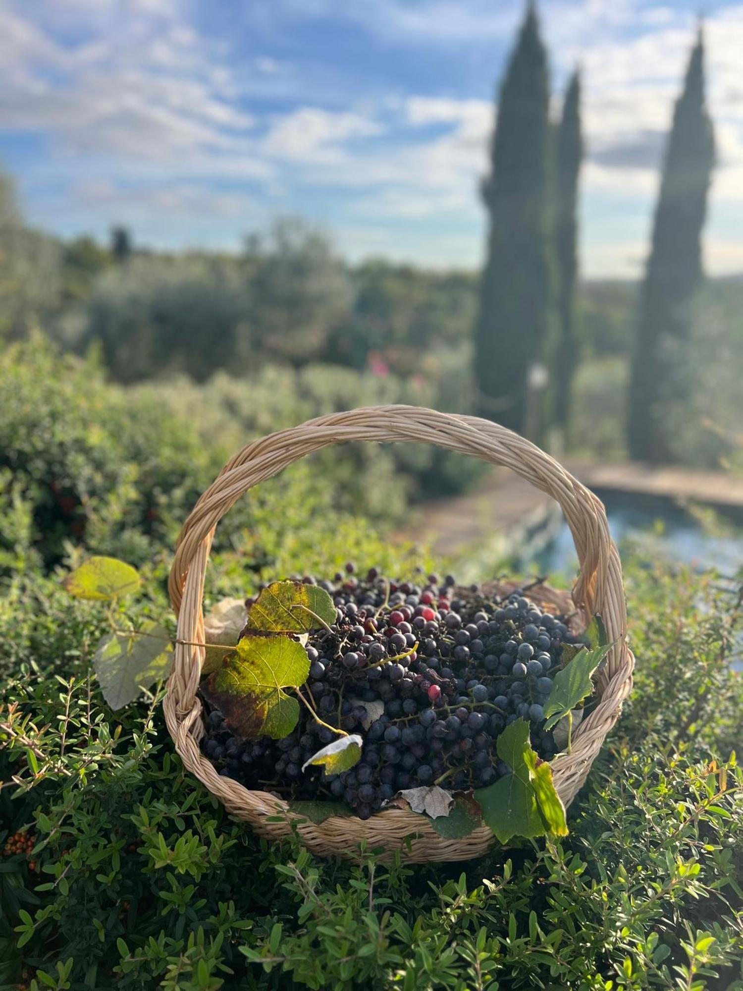 B&B Il Pettirosso Di סיינה מראה חיצוני תמונה